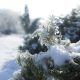 Branches covered in snow.